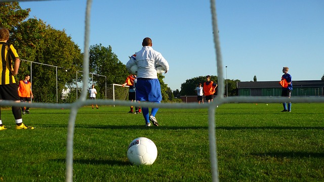不仅展示了 不仅展示了