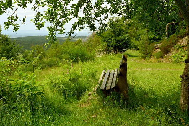 到了更为广 到了更为广