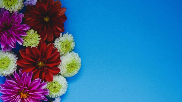 首发还是替 首发还是替