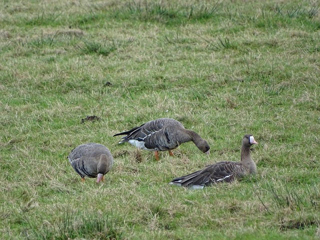 电脑在线领 电脑在线领