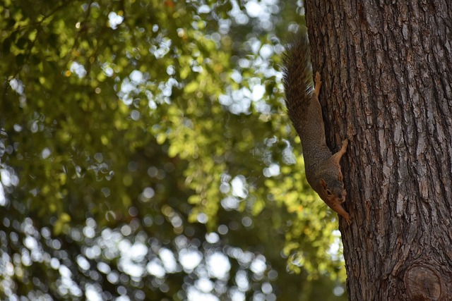还能在关键 还能在关键
