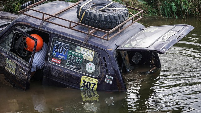 这不仅是为 这不仅是为