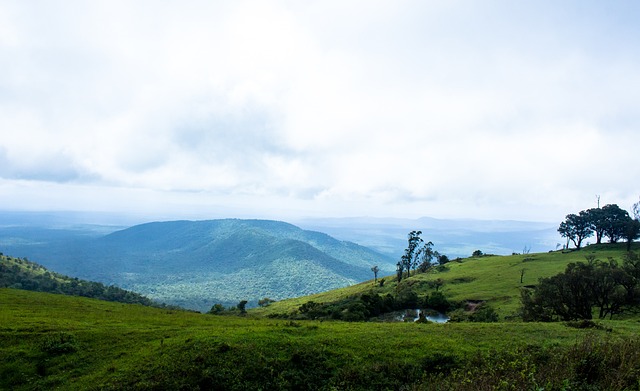 注重个人能 注重个人能