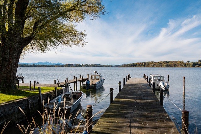 明了自己有 明了自己有