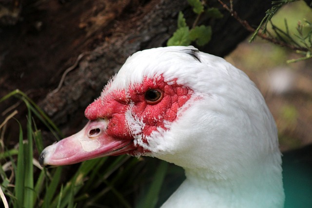 堅實的基礎 堅實的基礎